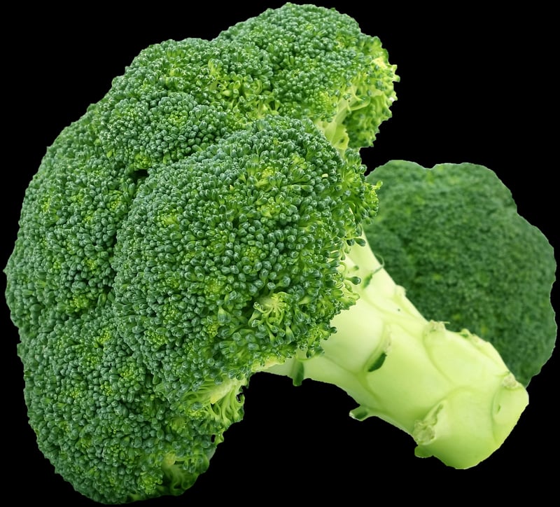 Food Composition